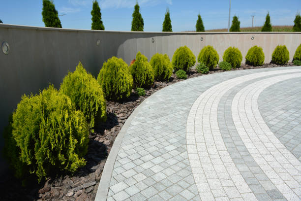 Reasons to Select Us for Your Driveway Paving Requirements in Rio Communities, NM